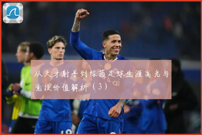 从天才射手到绿茵足球生涯高光与竞技价值解析（3）