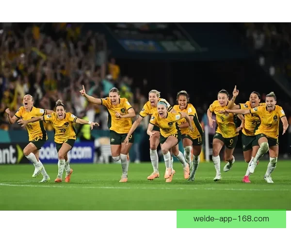 世界杯赛事比分预测与分析全方位指南助你精准预测比赛结果