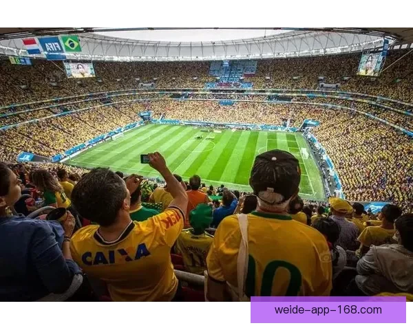 围绕世界杯买球入口全面解析赛事预测技巧与安全平台选择指南