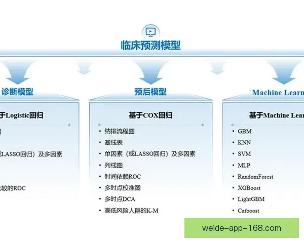 基于数据模型与球队状态评估的世界杯足球竞猜趋势深度分析指南