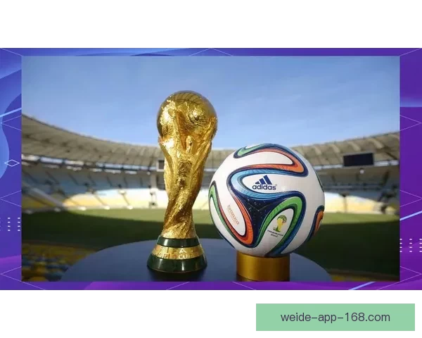 聚焦2026世界杯比赛场地布局与城市发展机遇全景深度解析研究
